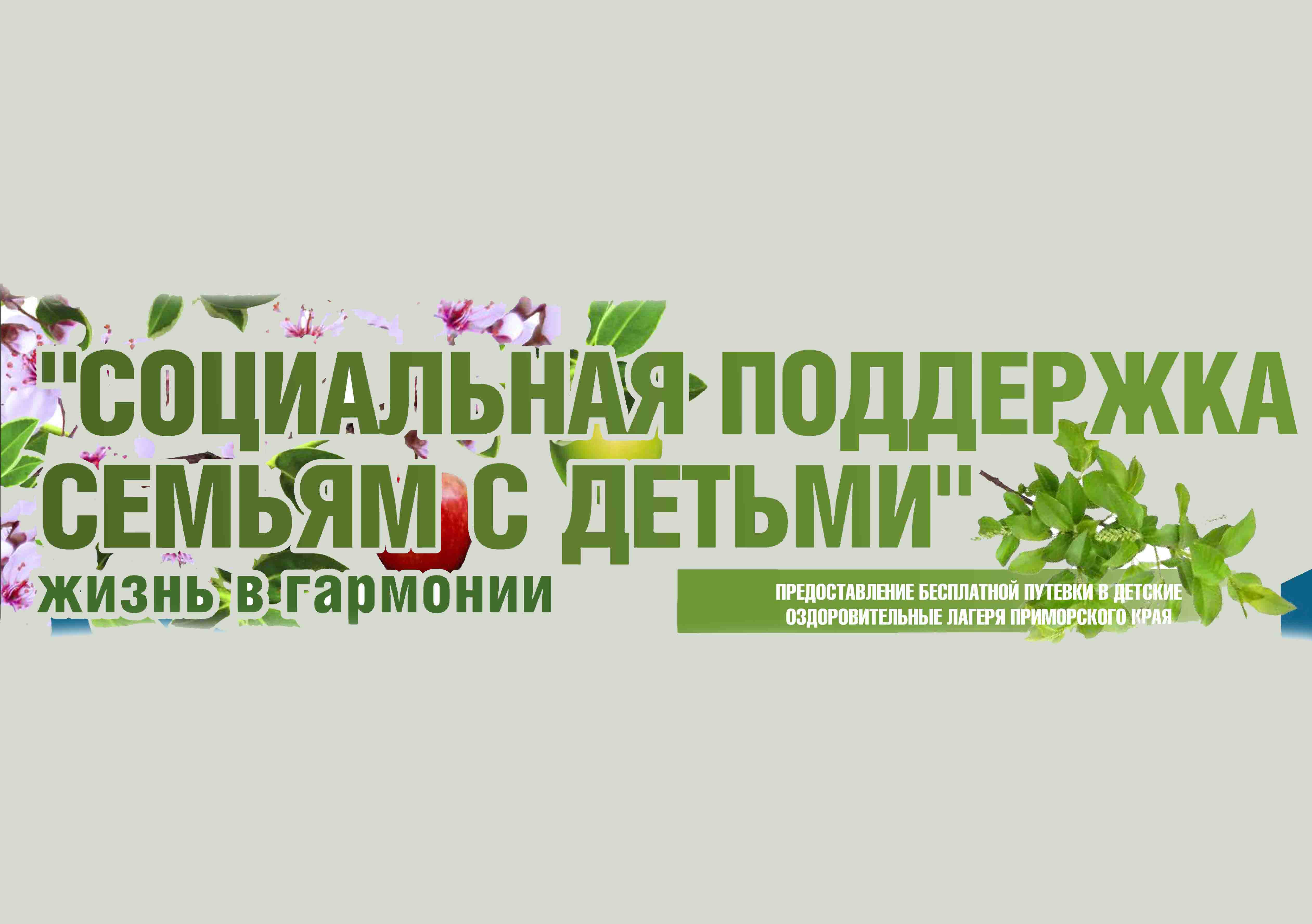 Социальная поддержка семьям с детьми